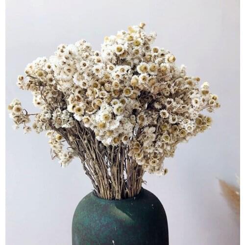 40pcs Natural Dried Flowers In Vase Wild Flower,Table CenterpiecesAesthetic Room Decor Nodic Home Bedroom Decoration Accessories