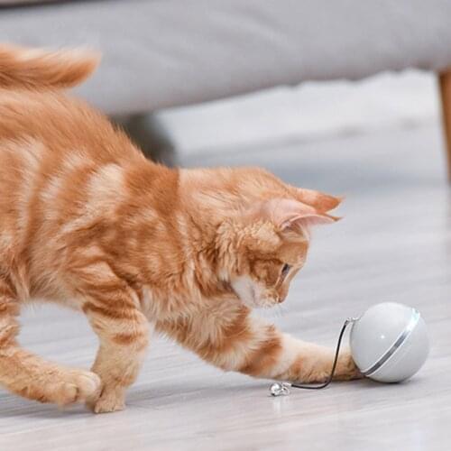 Interactive Cat Toy Ball Colorful LED Self Rotating Ball With Bell USB Rechargeable Cat Ball Toy Dropshipping