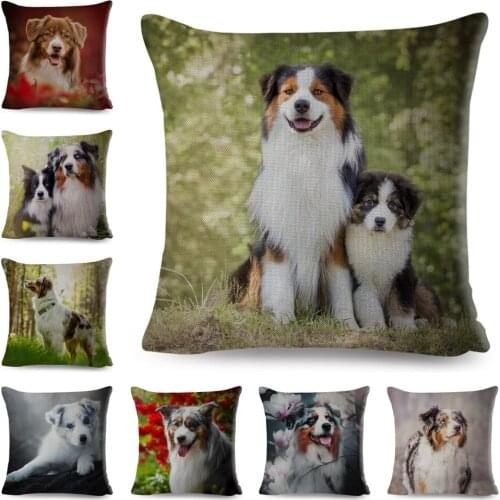 BANXIAO Home And Garden Products