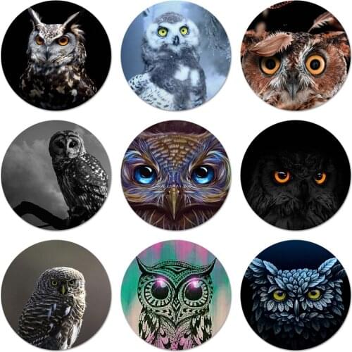 Owl big eye Brooch Pin Cosplay Badge Accessories For Clothes Backpack Decoration Gift