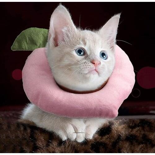 Cat Elizabethan Collar Cute Fruit Dog Neck Cone Recovery Collars For Anti-Bite Lick Surgery Wound Healing Protective Pet Collar