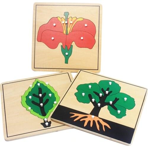 Baby Montessori Materials Wooden Puzzles Educational Toys Plant Growth Panel Wood Toy Learning Tangram/Jigsaw Toddlers Preschool