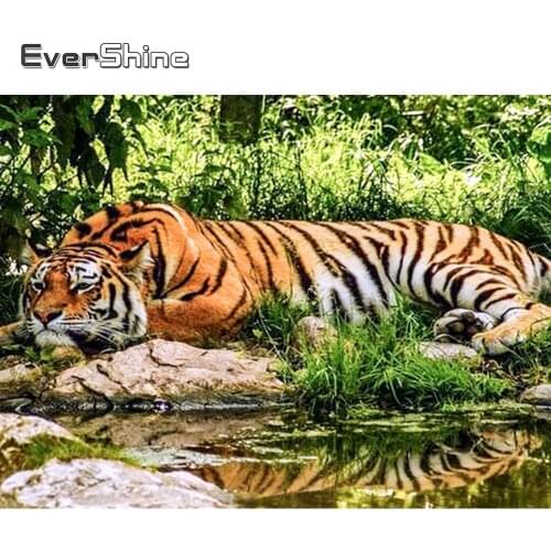 Evershine 5D Diamond Painting Full Drill Square Tiger Cross Stitch Diamond Embroidery Sale Animals Rhinestones Pictures Beadwork