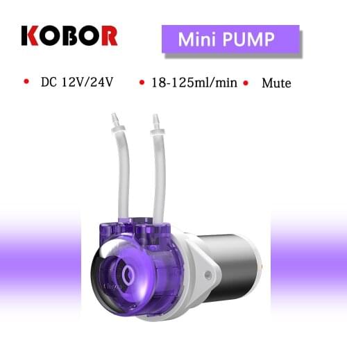 Brush motor peristaltic pump household small 12v automatic micro water pump silent 24v DC pump Laboratory beverage machine pump