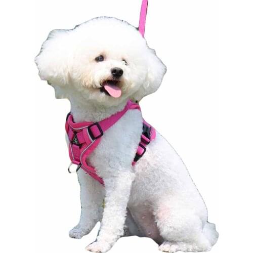 Dog Leash and Harness Set Nylon Padded Reflective Vest Adjustable Cat Harness Pet Product Training Lead for Small and Medium Dog