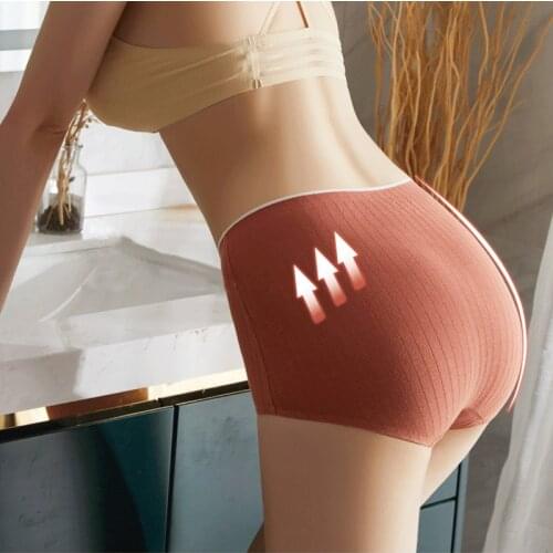 Dreamlikelin Female Cotton Antibacterial Underwear Womens Abdomen Buttock Underpants Large Sizes Breathable High Waist Briefs