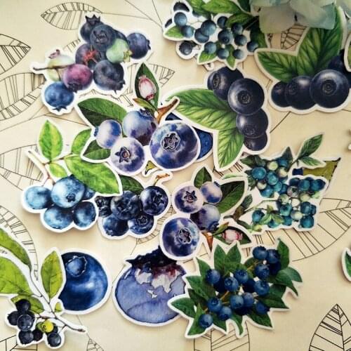 30PCS Cute Blueberry Fruit Sticker DIY Scrapbooking Journal Collage Phone Diary Album Happy Planner Gift Sealing Decoration