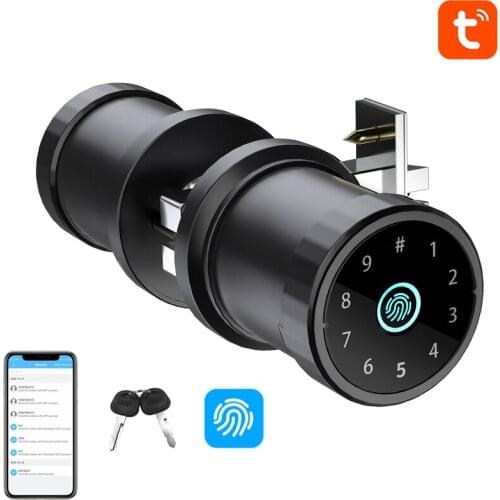 TUYA Bluetooth-compatible Smart Ball Lock Fingerprint Lock Smart Door Lock Password Key Fingerprint APP Four Unlocking Methods