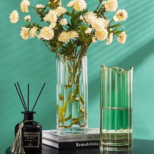 Nordic Irregular Phnom Penh Glass Vase Creative Living Room Hydroponic Flower Arrangement Dried Flower Vases Home Decoration