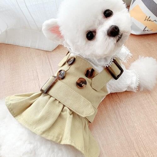 Classic trench coat lovers wear thin Teddy Bomei pet dog cat bear clothes skirt small dog dresses in spring and summer