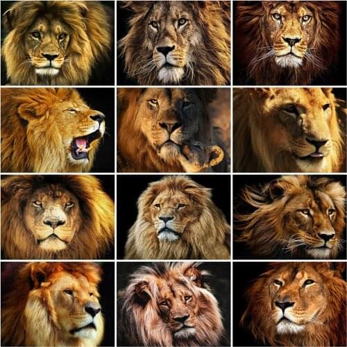 Evershine Diamond Embroidery Lion Full Square/Round Drill 5D DIY Diamond Painting Animal Cross Stitch Mosaic Home Decor Gift