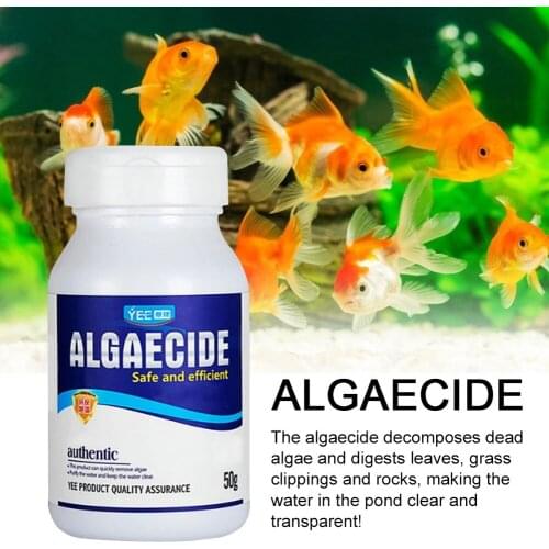 Dropshipping High Efficiency Algaecide Household Fish Tank Purification Safe Efficient Algaecide For Aquarium Pond