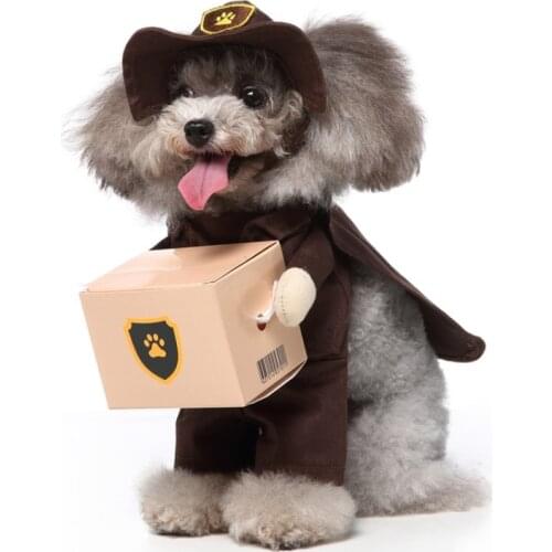 Halloween Pet Clothing Cat Dogs Porter Costumes Dog Clothes for Dog Cosplay Women Jacket Dog Accessories Christmas Decoration