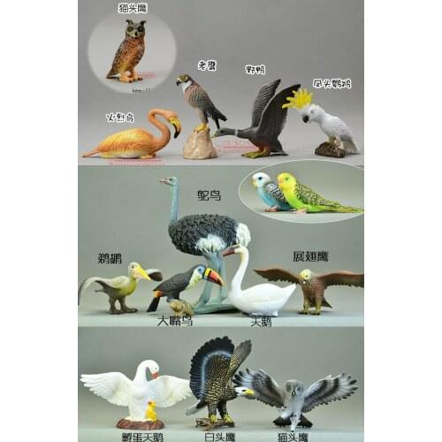 Solid pvc Simulation model Solid model toucan bird / Ostrich / Swan / parrot / Flamingo / Eagle pelicans 14pcs/set