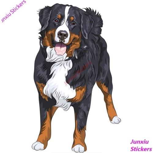 Cute Bernese Mountain Dog Standing and Smiling Colorful Car Sticker Funny Auto Bumper Truck Camper 4x4 Off Road Decal PVC15x9cm