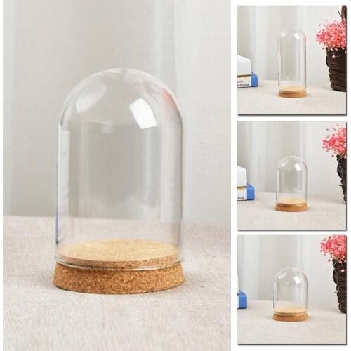 Glass Dome Cover Simulation Flower Succulent Plants Vase With Wood Cork Table Decor DIY Artificial Plant Flower Dust Cover