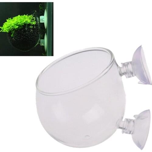 Fish Tank Mini Crystal Glass Pot Water Potted Aquatic Planting Cylinder Cup