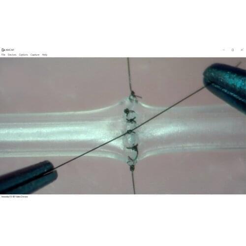 Microsurgical suture training simulation of 1mm/2mm blood vessels teaching model ultrathin neurosurgery surgery