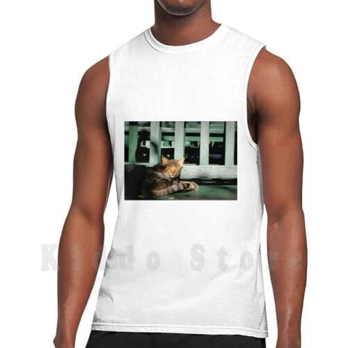 Sleepy Cat tank tops vest 100% Cotton Sleep Cat Animal Sunshine Lie Down Green Bench Shadow