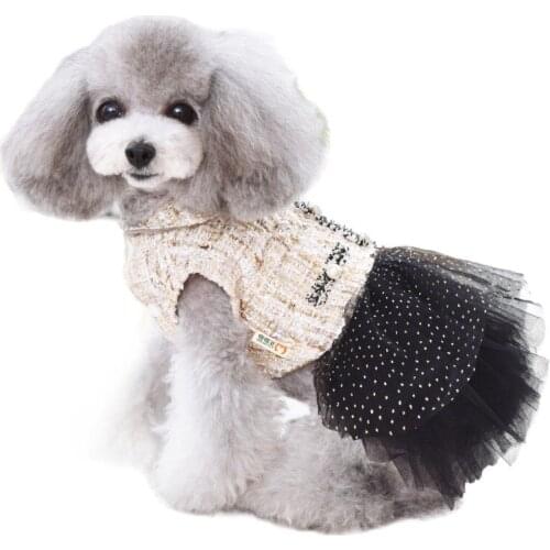 Winter Dog Dress Cute Lace Dog Skirt Yorkshire Pomeranian Poodle Bichon Frise Schnauzer Dog Clothes Pet Clothing Dresses Outfit