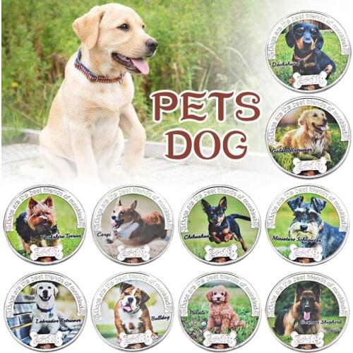 10Pcs Pets Dog Silver Coins Collectibles with Coin Holder Animal Double Sided Challenge Coin Funny Gift