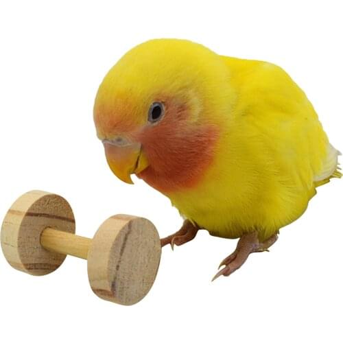 Bird Toy Hamster Log Wooden Toy Small Animals Bird Pine Dumbbell Biting Toy Parrots Intellectual Train Interactive Supplies