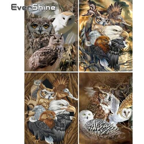 EverShine Diamond Painting Owl Cross Stitch Diamond Embroidery Animal Full Dill Square Mosaic Picture Of Rhinestones Wall Art