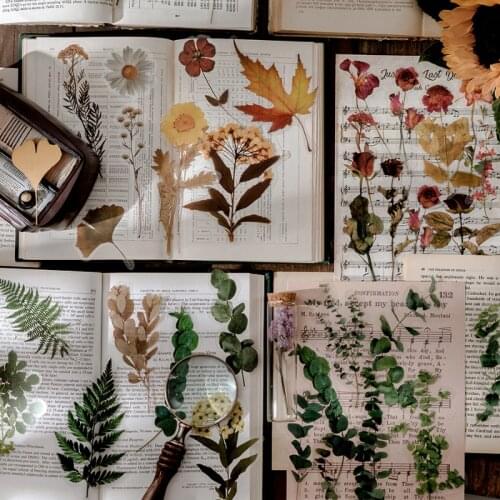 1pack Retro Plant Stickers PET Material Cerative Sticker Pack DIY Stationery Supplies Decorative Scrapbook Kawaii Gifts