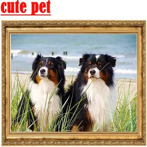 Diamond Painting 5D Australian Shepherd Crystal DIY square Round Diamond Painting Embroidery Home Decor Diamond Gift Mosaic