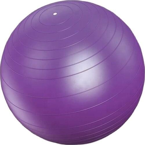 Wholesale gym exercises 65 cm pvc yoga ball with free pump