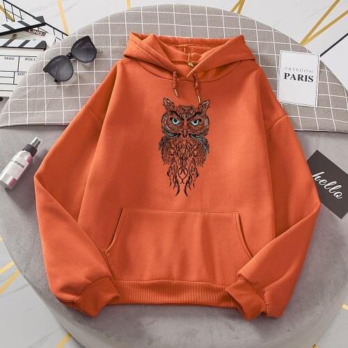 Dashing Owl Face Printed Woman Hoodie Hip Hop Soft Hoody Fashion Warm Loose Sweatshirt Harajuku Autumn Fleece Unisex Sportswears