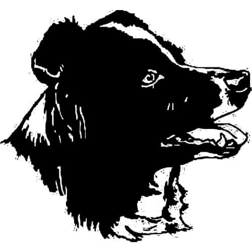 14.7*13.5CM Border Collie Dog Car Stickers Reflective Vinyl Decal Car Styling Bumper Decoration Black/Silver S1-0531