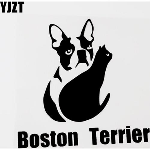 YJZT 15CM×15.6CM Boston Terrier Dog And Cat Creative Vinyl Car Sticker Decal Black/Silver 8C-0602