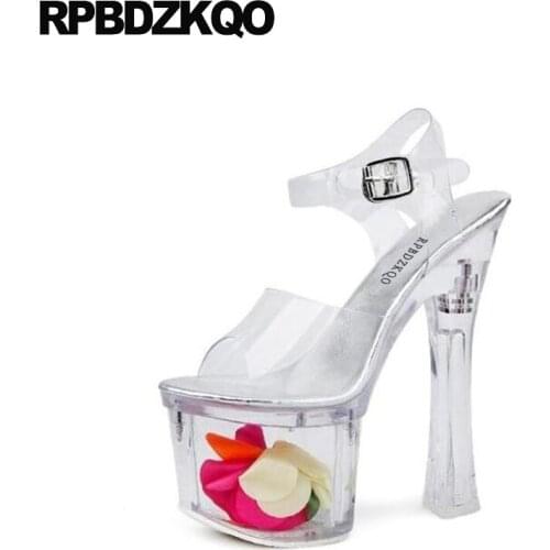 Ladies clear luxury thick exotic dancer transparent cinderella 18cm sexy high heels flower glass slingback shoes stripper pumps