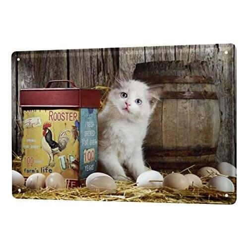 Tin Sign Decor Plaques Cat Decoration Puppy Chicken coop Eggs Metal Plate 8X12