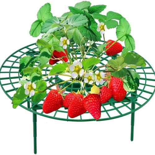 5/10pcs Strawberry Stand Frame Decaying Resistant Balcony Vegetable Holder Planting Racks Growing Support Gardening Tool