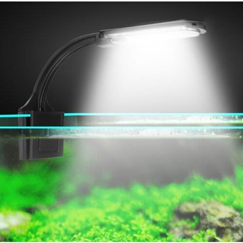 Amatslite Lighting For Aquariums