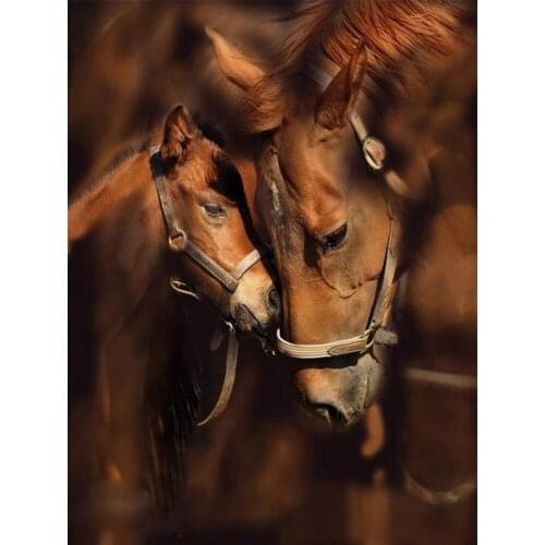 5d-diamond-painting Animal horse Full Square/Round 3D Diamond Embroidery Christmas pictures of rhinestones home decoration TY758