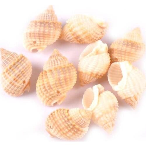 10pcs Jewelery Natural Spiral Shell For Handmade Scrapbooking Crafts One Hole Sea Shells 2-3cm DIY Home Decoration TR0290