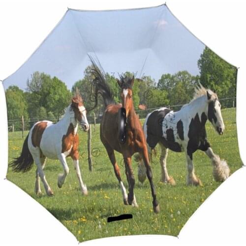 C-Hook Windproof Reverse Umbrella Long Shank Inverted Double Layer Creative Horse Rain Protection Umbrella Drop Shipping