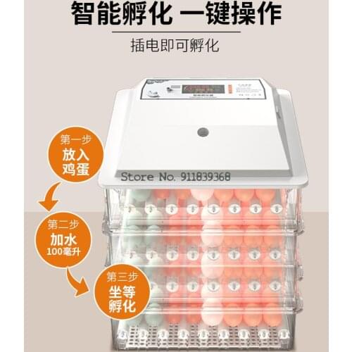 Mini Incubator For Hatching Chicken Hatching Box For Small Home Automatic Intelligent Hatching Machine