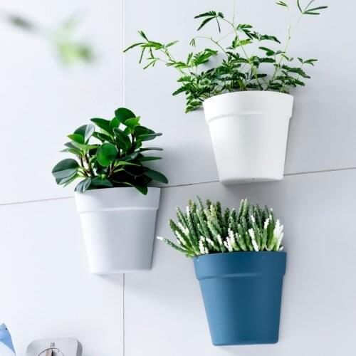 Wall-mounted flower pot simple wall-mounted succulent flower pot green radish semi-circular plastic hanging basket pot