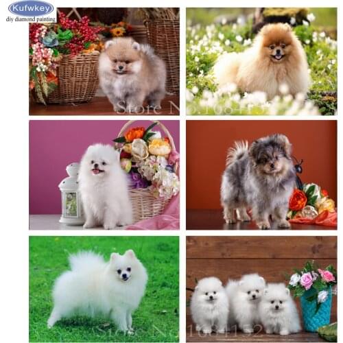 Full Diamond Embroidery Spitz dog Animals photo DIY 5D Diamond Painting Cross Stitch Rhinestones mosaic Painting Home Decor