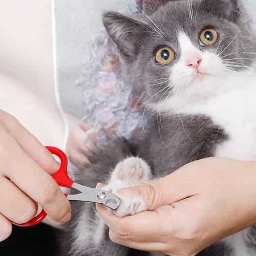 Professional Pet Dog Puppy Nail Clippers Toe Claw Scissors Trimmer Pet Grooming Products For Small Dogs Cats Puppy