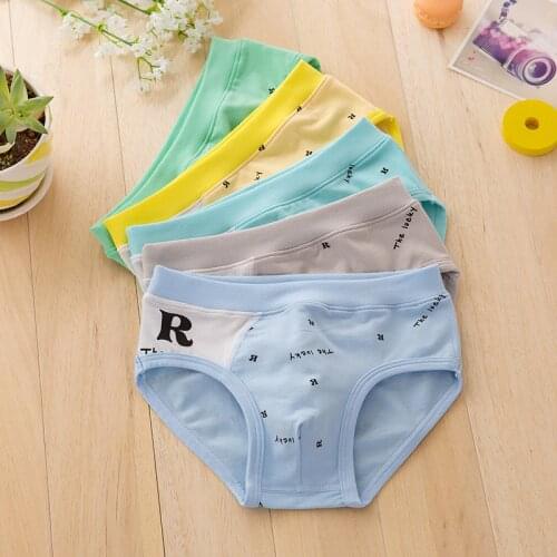 New arrived free shipping high quality boys teenager cotton briefs panties kids children underwear 2-16years 5pcs/lot
