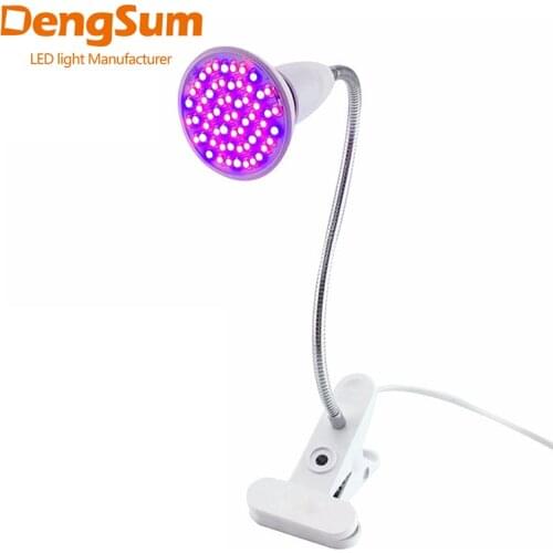 Dengsum Lighting