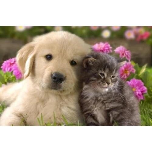 Hond met kat diamond painting