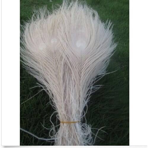 Wholesale high quality 10pcs Rare beige natural peacock feather 25-30cm / 10-12inch decorative diy