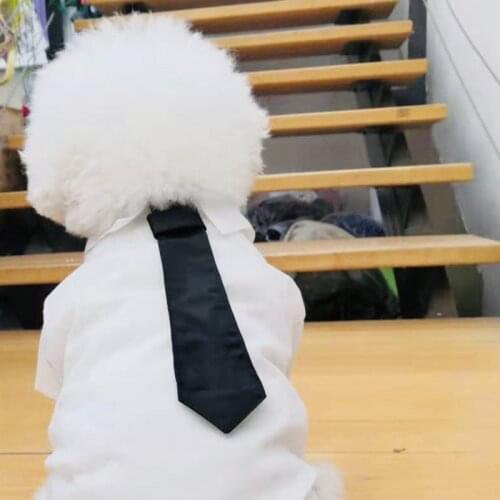 Fashion Pet Dog Shirt With Necktie Puppy Schnauzer Yorkie Summer Shirts French Bulldog Clothes Pug Costume PDC0109