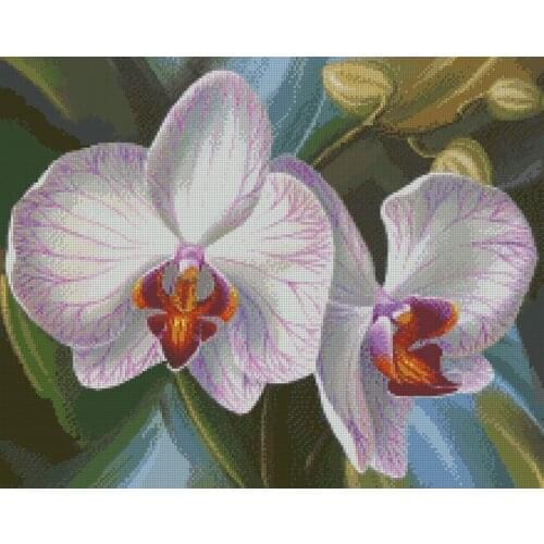 Top Quality hot selling classical lovely counted cross stitch kit orchid iris elegant flower flowers